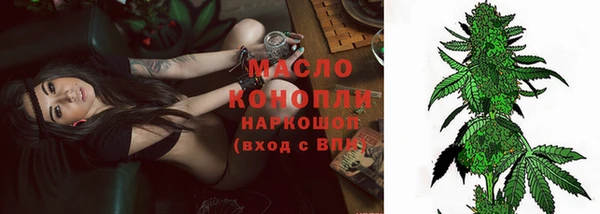 сатива Горняк