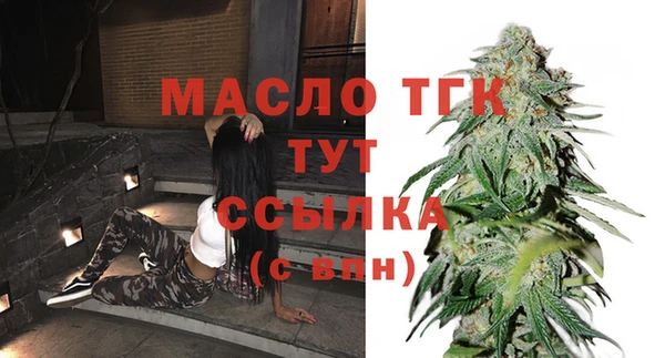 сатива Горняк