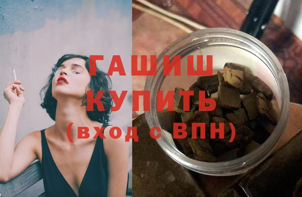 сатива Горняк