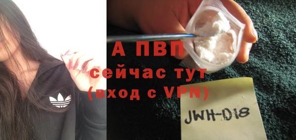 сатива Горняк