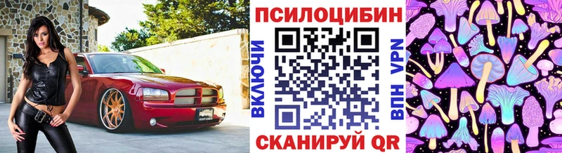 Галлюциногенные грибы Psilocybe Заволжье